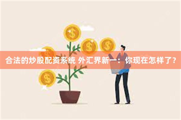 合法的炒股配资系统 外汇界新一：你现在怎样了？