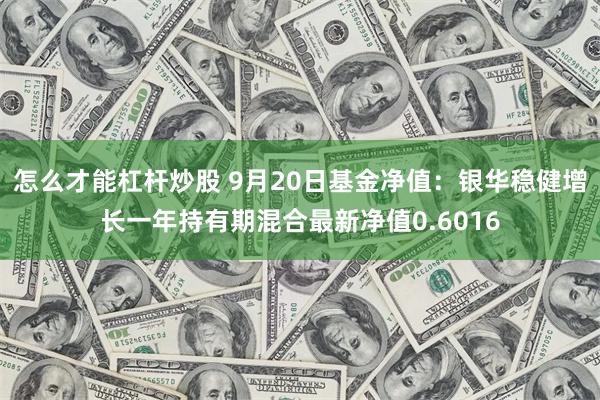 怎么才能杠杆炒股 9月20日基金净值：银华稳健增长一年持有期混合最新净值0.6016