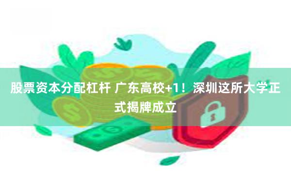 股票资本分配杠杆 广东高校+1！深圳这所大学正式揭牌成立