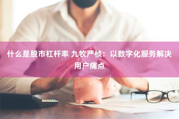 什么是股市杠杆率 九牧严桢：以数字化服务解决用户痛点