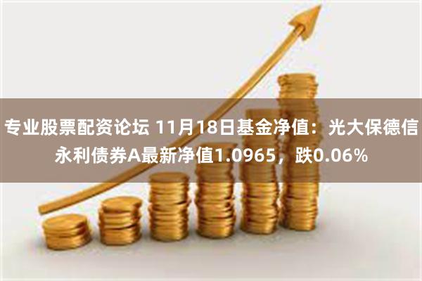 专业股票配资论坛 11月18日基金净值：光大保德信永利债券A最新净值1.0965，跌0.06%