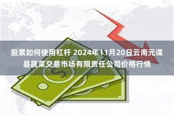 股票如何使用杠杆 2024年11月20日云南元谋县蔬菜交易市场有限责任公司价格行情