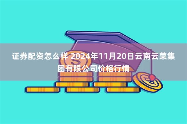 证券配资怎么样 2024年11月20日云南云菜集团有限公司价格行情