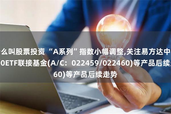 什么叫股票投资 “A系列”指数小幅调整,关注易方达中证A500ETF联接基金(A/C：022459/022460)等产品后续走势